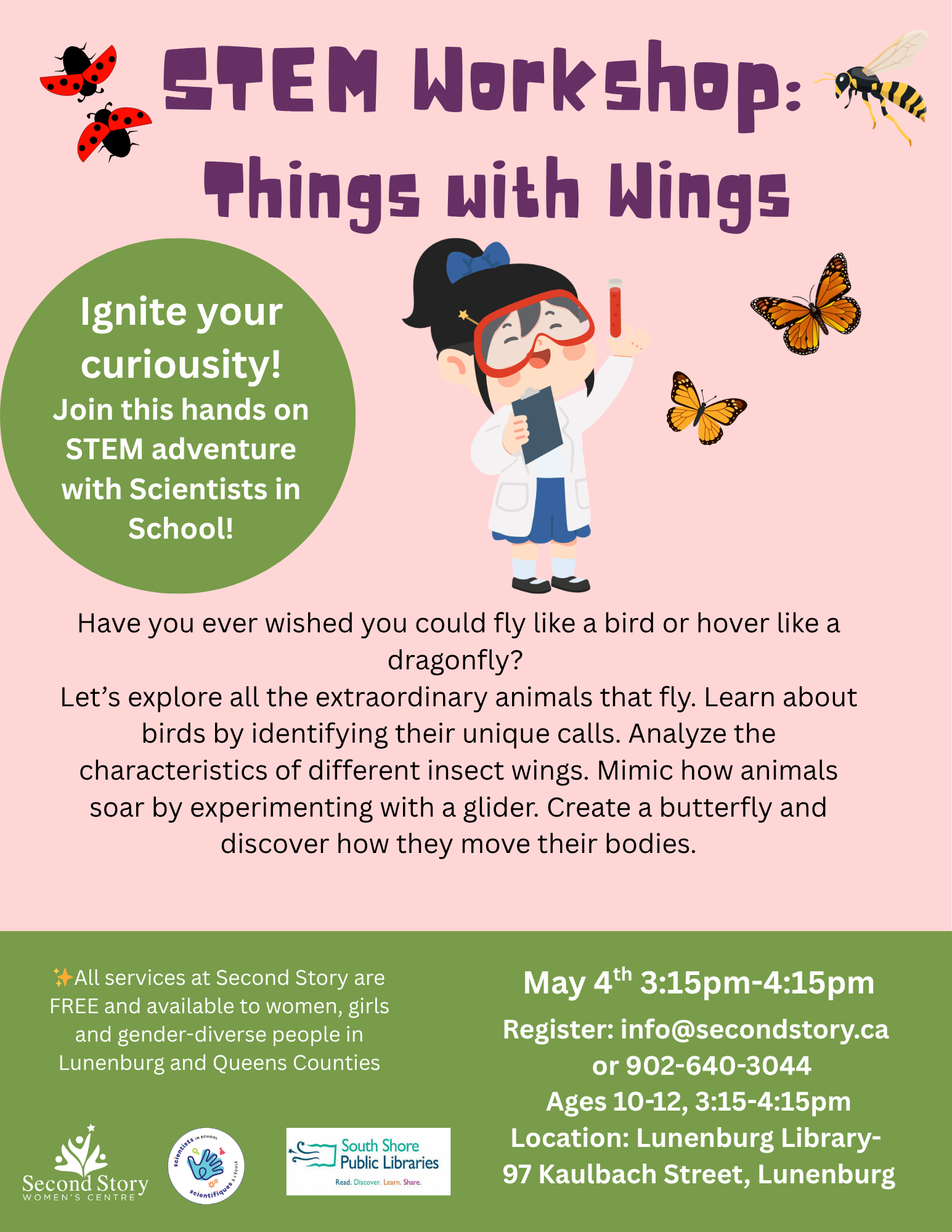STEM Workshop: Things with Wings!