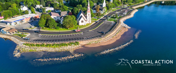 Public Planting Event at the Mahone Bay Living Shoreline